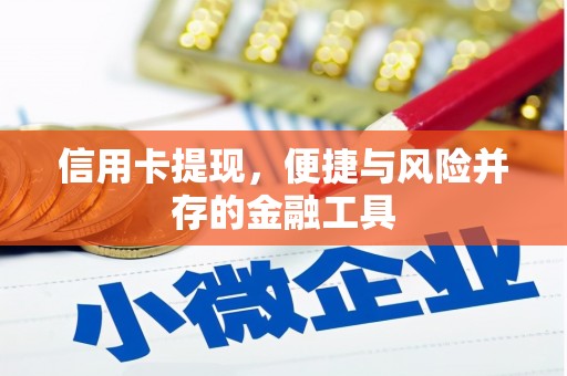 平远信用卡提现，便捷与风险并存的金融工具