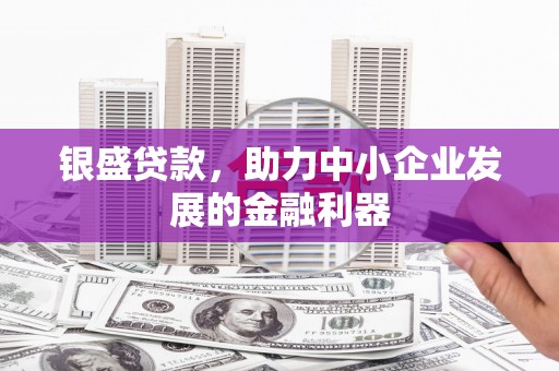 平远银盛贷款，助力中小企业发展的金融利器