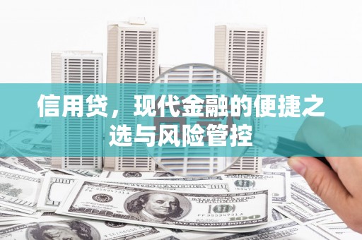 平远信用贷，现代金融的便捷之选与风险管控