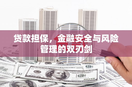 平远贷款担保，金融安全与风险管理的双刃剑