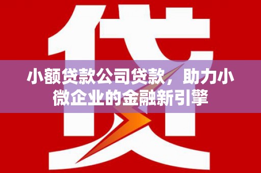 平远小额贷款公司贷款，助力小微企业的金融新引擎