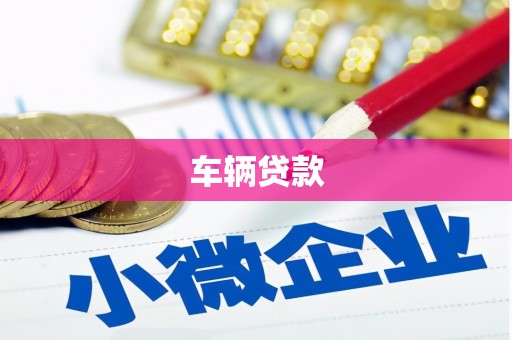 平远车辆贷款