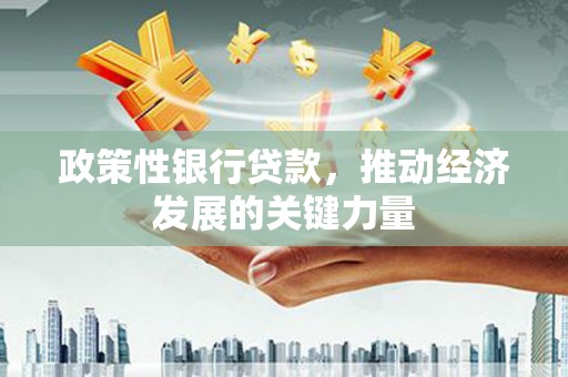 平远政策性银行贷款，推动经济发展的关键力量