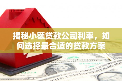 平远揭秘小额贷款公司利率，如何选择最合适的贷款方案