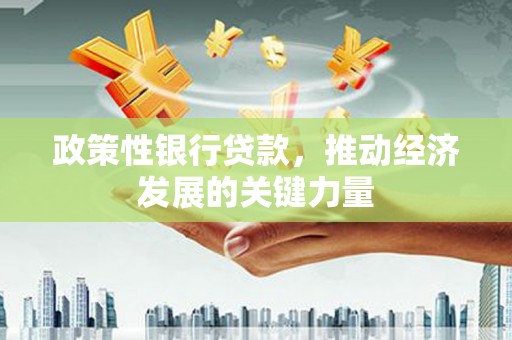 平远政策性银行贷款，推动经济发展的关键力量