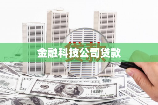 平远金融科技公司贷款