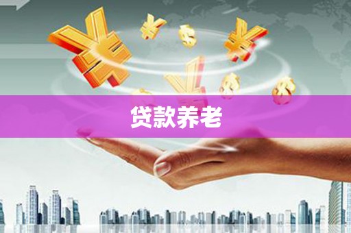 平远贷款养老