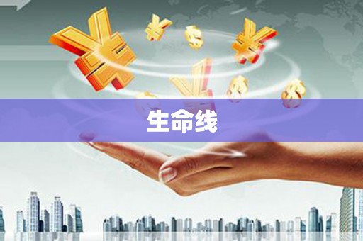 平远生命线