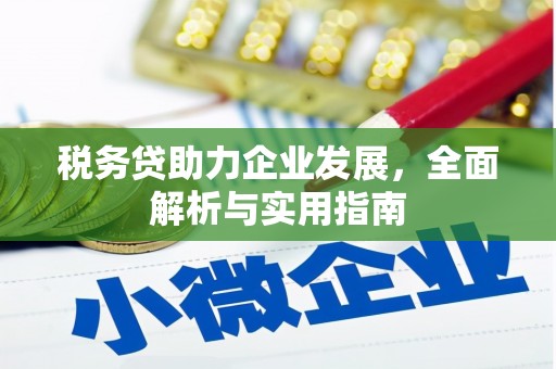 平远税务贷助力企业发展，全面解析与实用指南