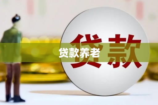 平远贷款养老