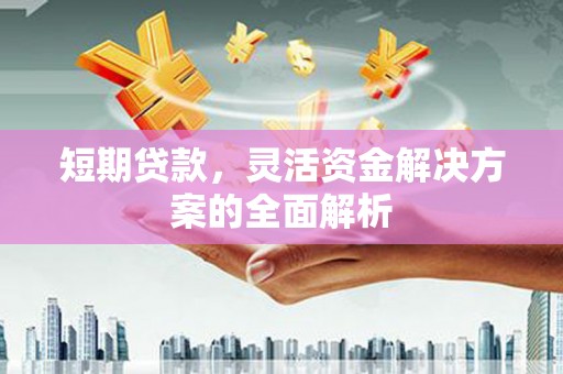 平远短期贷款，灵活资金解决方案的全面解析