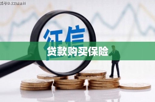 平远贷款购买保险