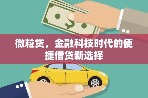 平远微粒贷，金融科技时代的便捷借贷新选择