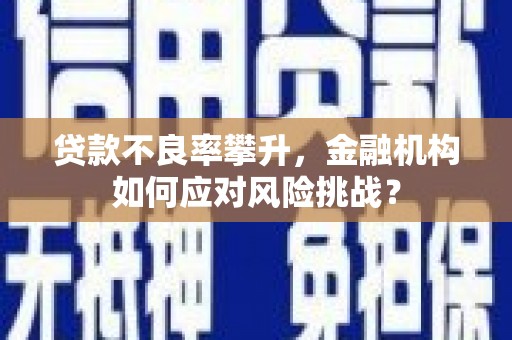 平远贷款不良率攀升，金融机构如何应对风险挑战？