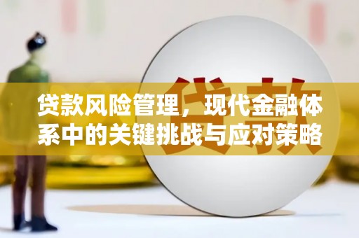 平远贷款风险管理，现代金融体系中的关键挑战与应对策略