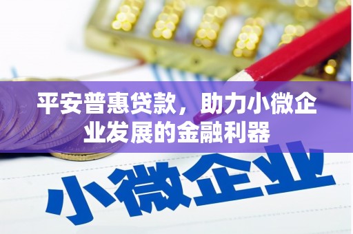 平远平安普惠贷款，助力小微企业发展的金融利器