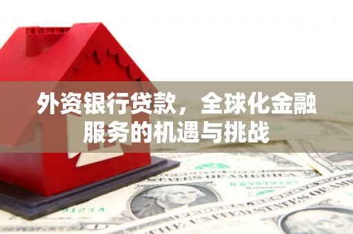 平远外资银行贷款，全球化金融服务的机遇与挑战