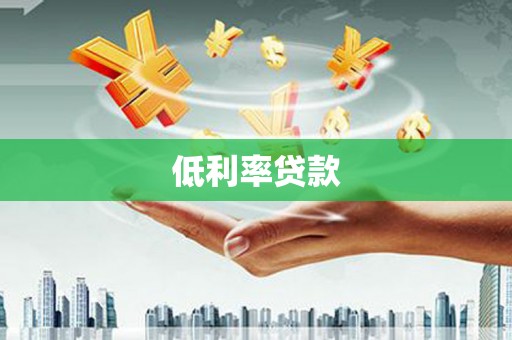平远低利率贷款