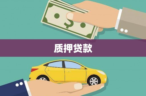 平远质押贷款