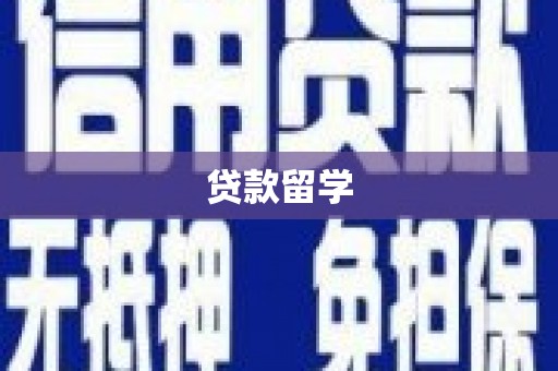 平远贷款留学