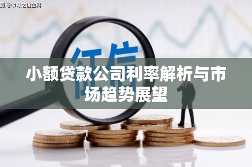 平远小额贷款公司利率解析与市场趋势展望