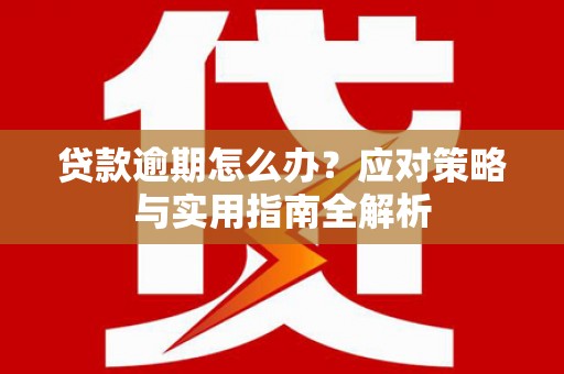 平远贷款逾期怎么办？应对策略与实用指南全解析