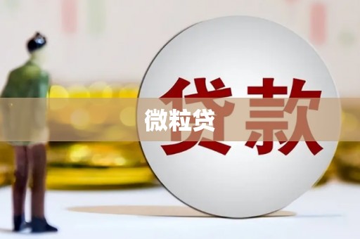 平远微粒贷