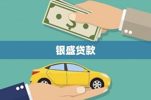 平远银盛贷款