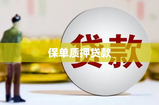 平远保单质押贷款