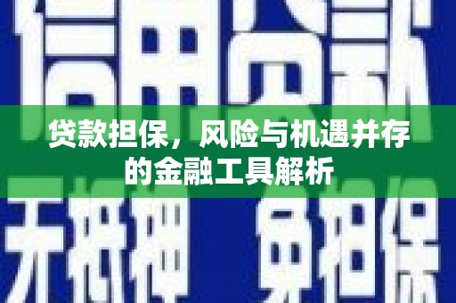 平远贷款担保，风险与机遇并存的金融工具解析