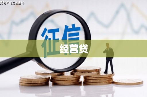 平远经营贷
