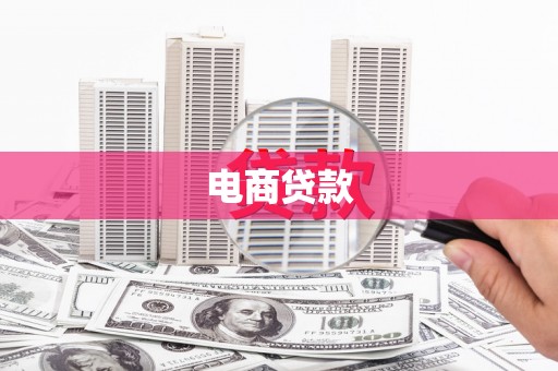 平远电商贷款