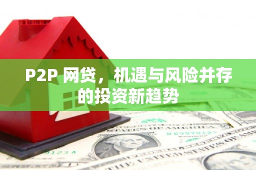 平远P2P 网贷，机遇与风险并存的投资新趋势