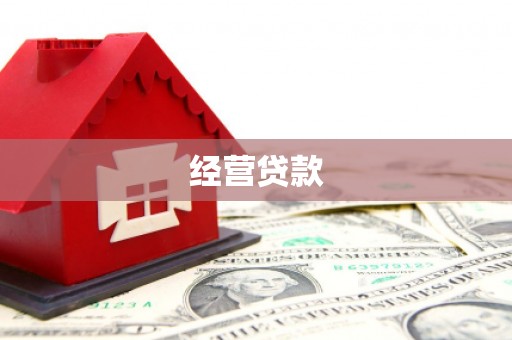 平远经营贷款