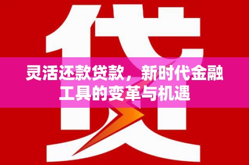 平远灵活还款贷款，新时代金融工具的变革与机遇
