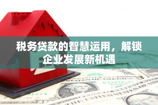 平远税务贷款的智慧运用，解锁企业发展新机遇
