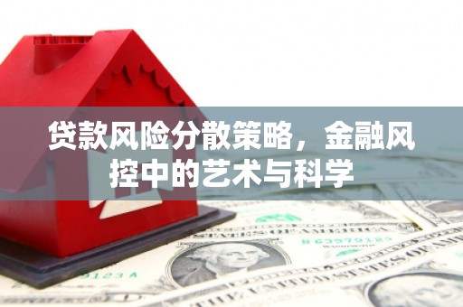 平远贷款风险分散策略，金融风控中的艺术与科学