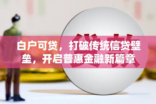 平远白户可贷，打破传统信贷壁垒，开启普惠金融新篇章