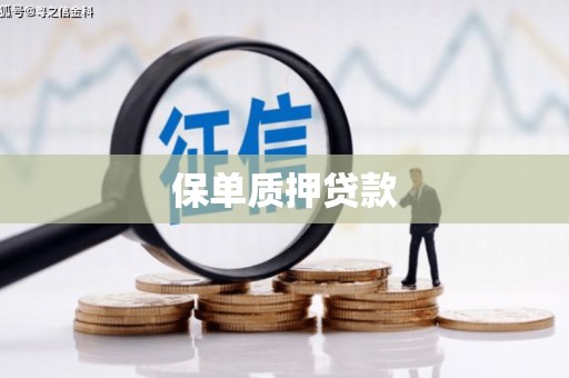 平远保单质押贷款