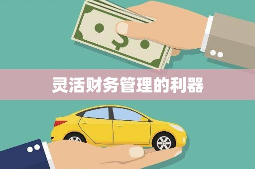 平远灵活财务管理的利器
