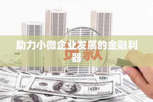平远助力小微企业发展的金融利器