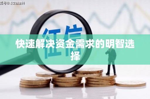 平远快速解决资金需求的明智选择