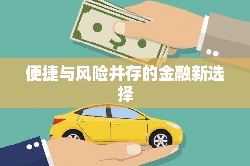 平远便捷与风险并存的金融新选择