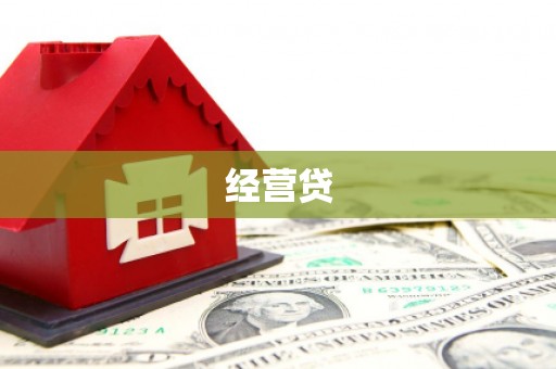 平远经营贷