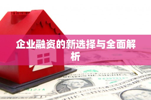 平远企业融资的新选择与全面解析