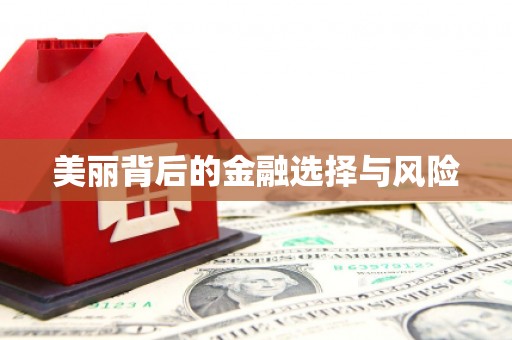 平远美丽背后的金融选择与风险