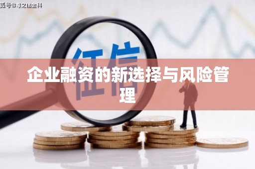 平远企业融资的新选择与风险管理