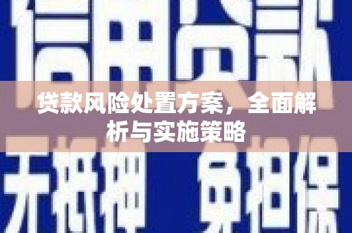 平远贷款风险处置方案，全面解析与实施策略