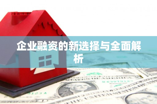 平远企业融资的新选择与全面解析