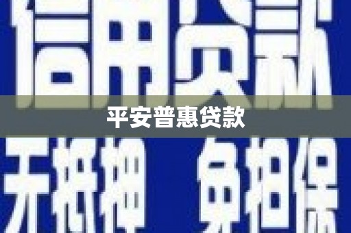 平远平安普惠贷款